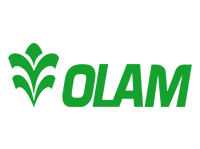 Olam